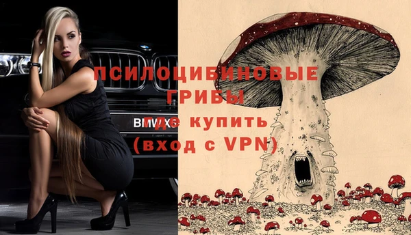 винт Кинешма